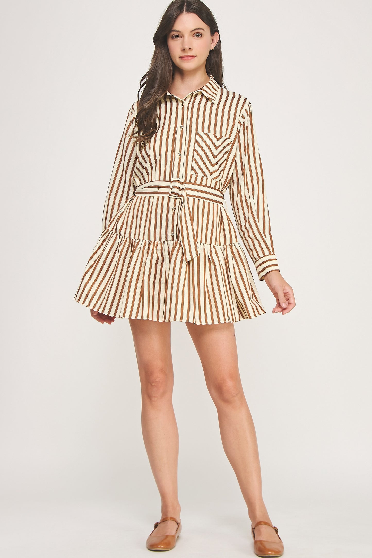 Striped Button Down Belted Dress