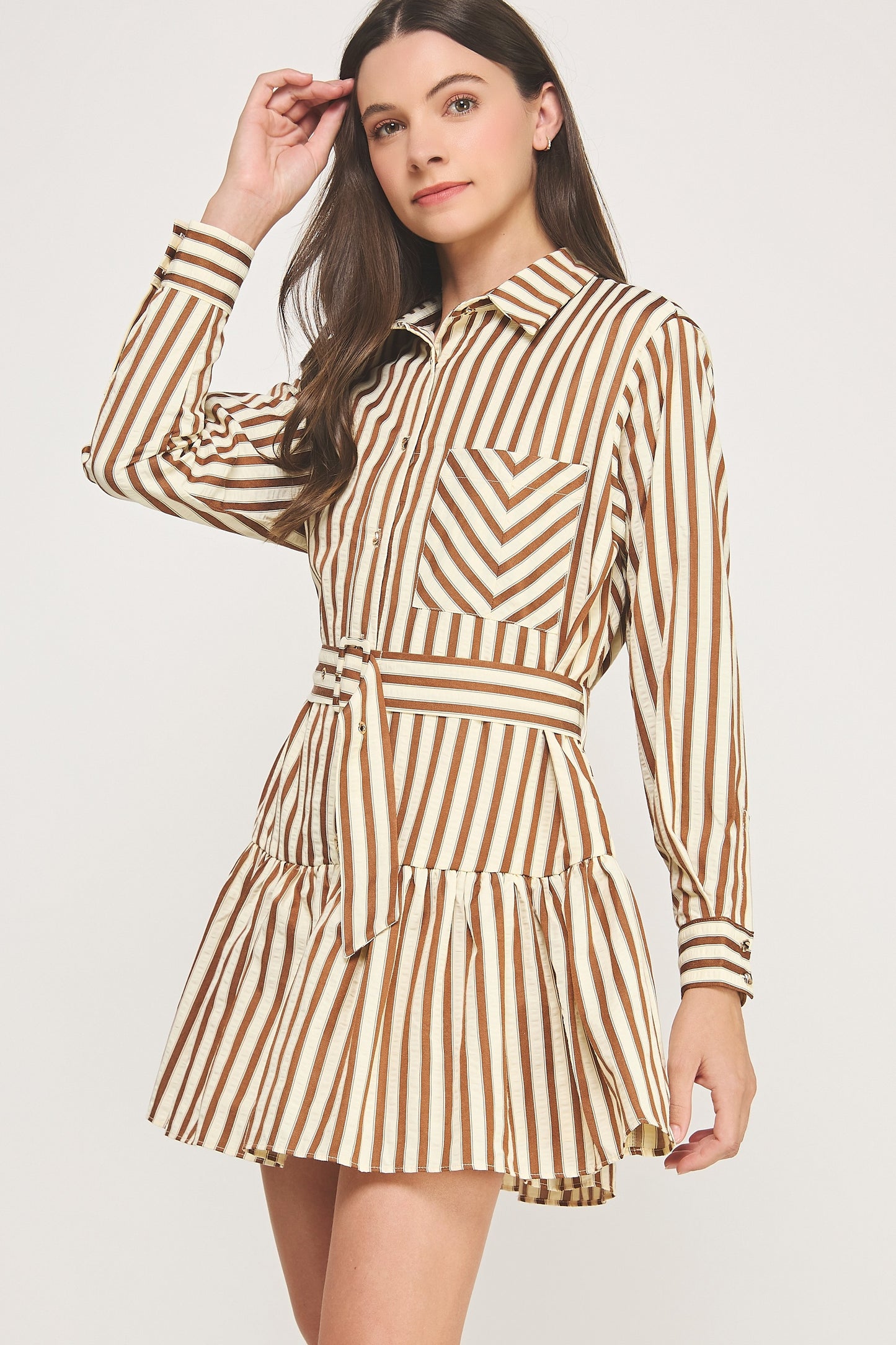 Striped Button Down Belted Dress