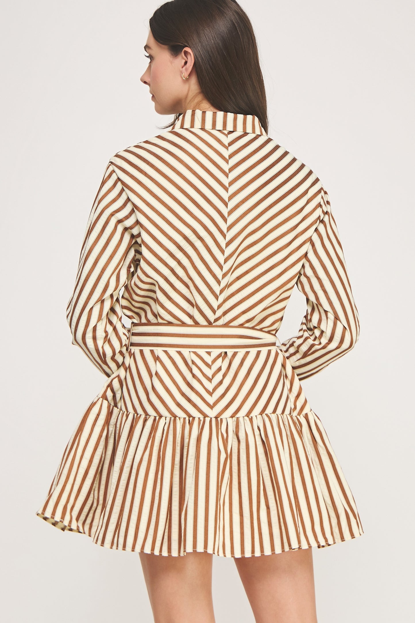 Striped Button Down Belted Dress