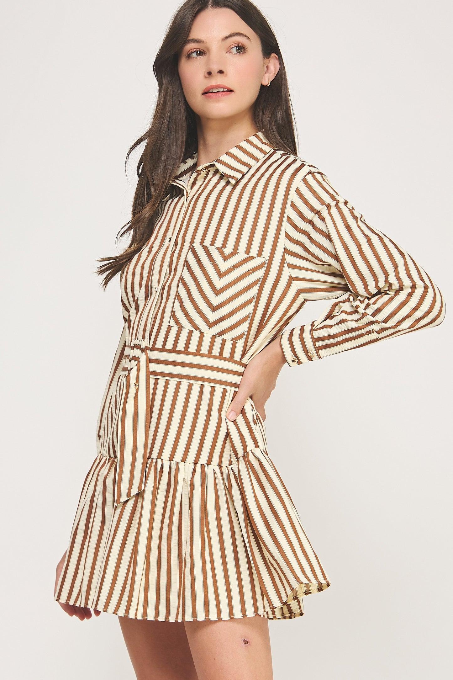 Striped Button Down Belted Dress