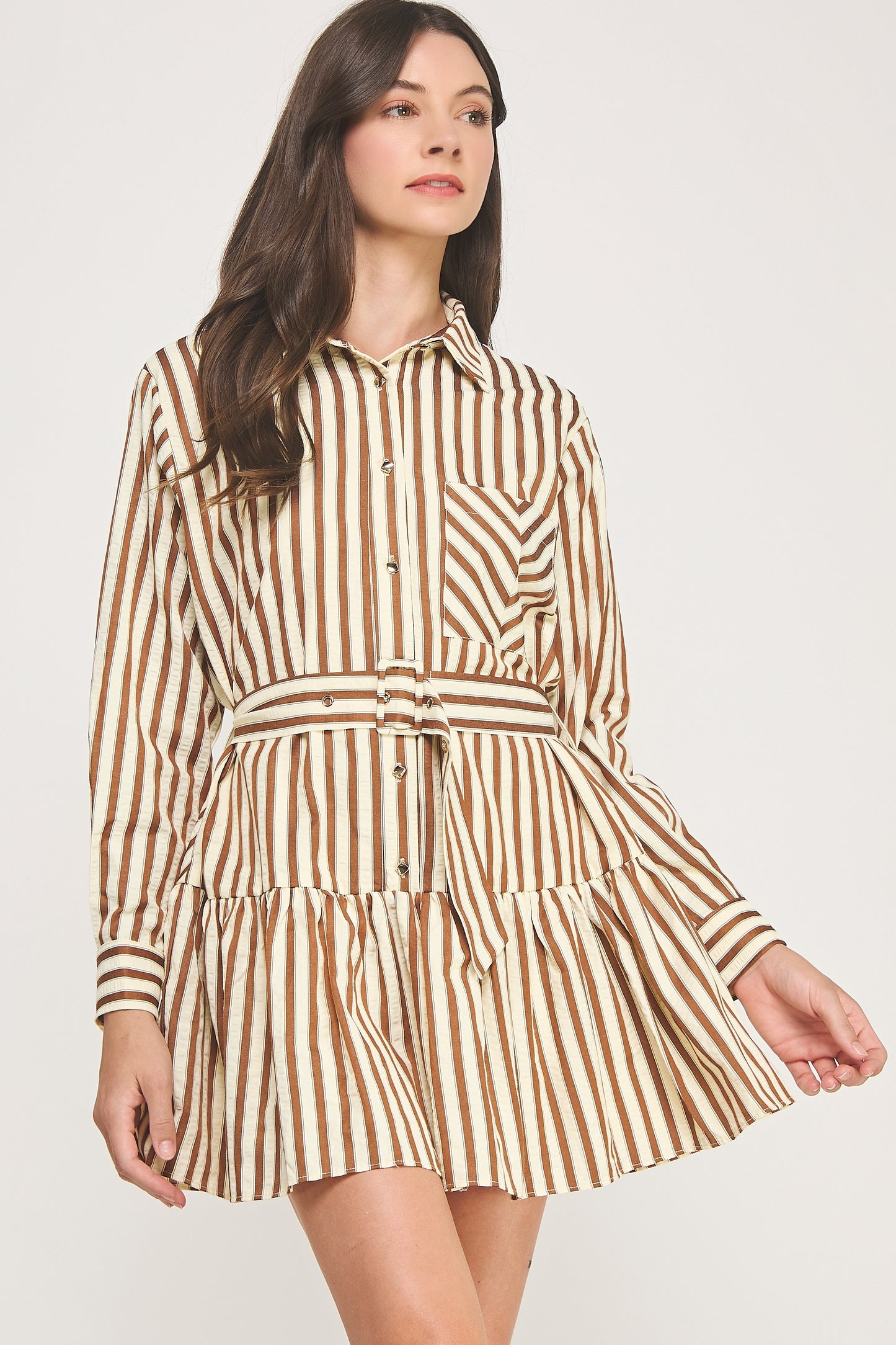 Striped Button Down Belted Dress
