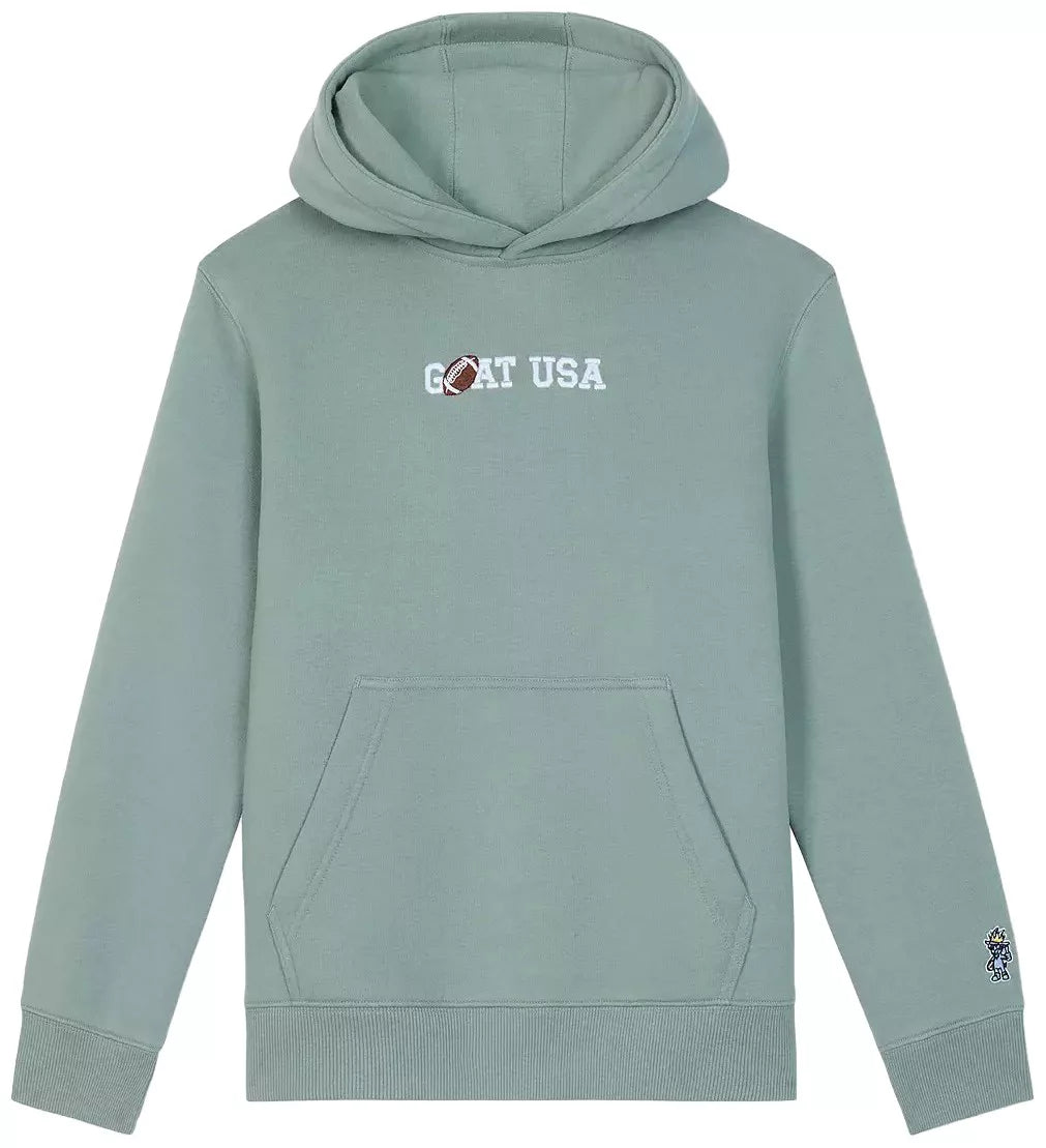 Football Sport Hooded Sweatshirt - Steeped Sage
