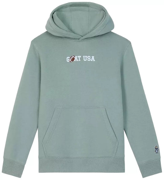 Football Sport Hooded Sweatshirt - Steeped Sage