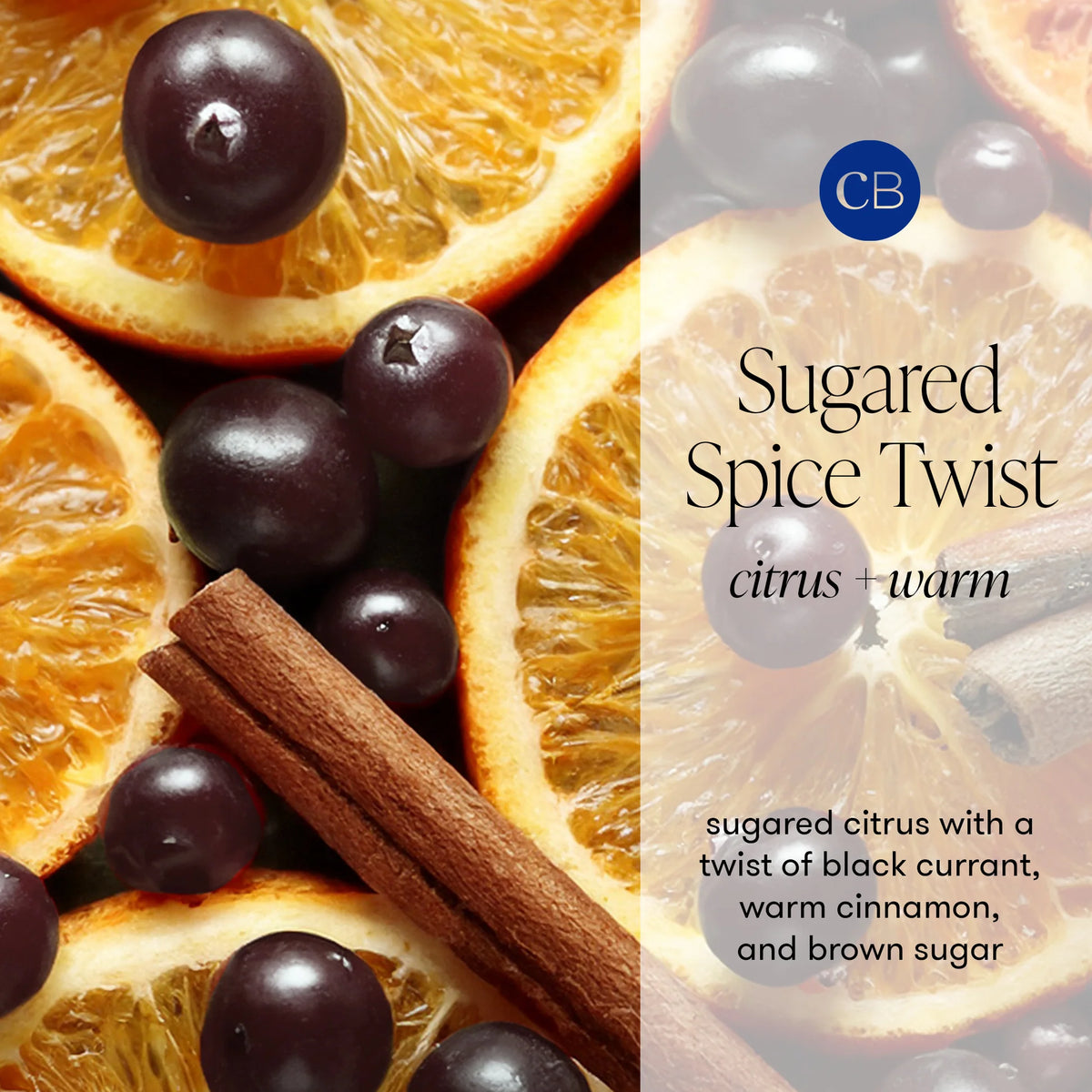 Sugared Spice Royal Gem Petite Candle 8 oz