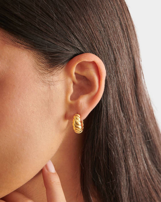 Harper Twist Hoop Earrings
