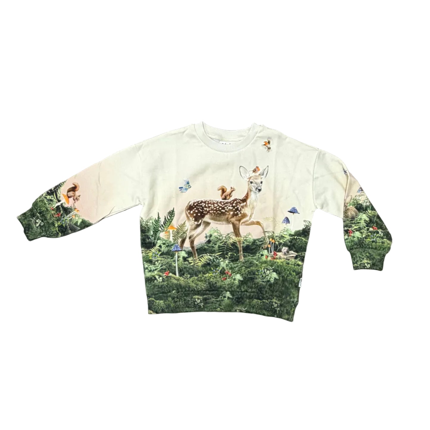 Morning Stroll Maxi Sweatshirt