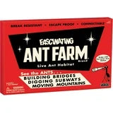 Ant Farm