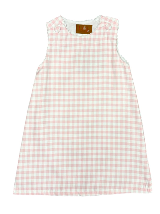 Addison A-line Dress- Pink Gingham