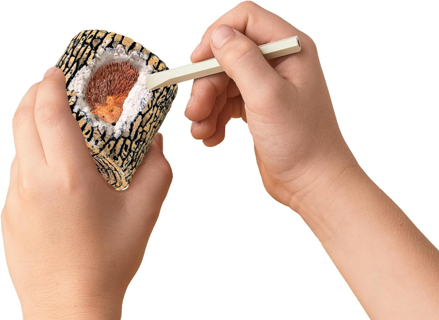 Dig It Up! Woodland Animals