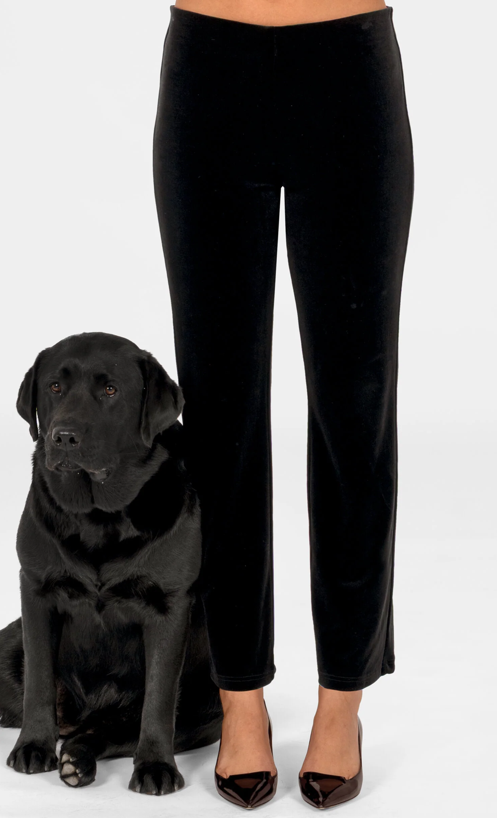 Column Black Velvet Pant