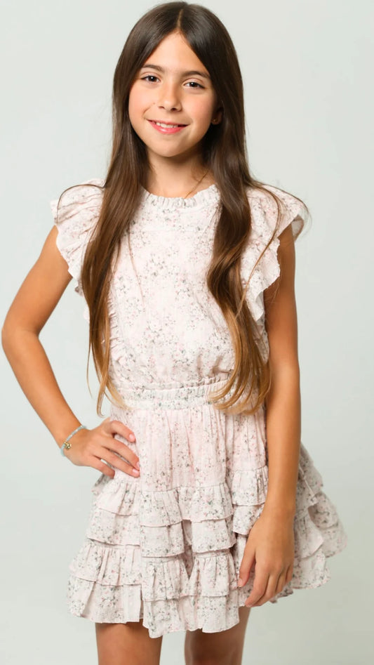 Gustavia Dress Pink Mini Roses