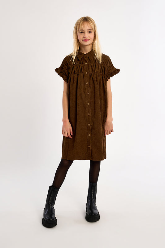 Chocolate Woven Dress