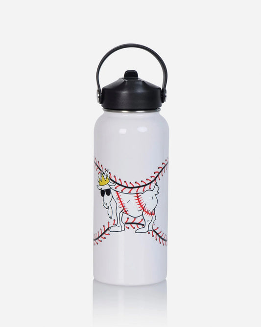 Baseball Water Bottle