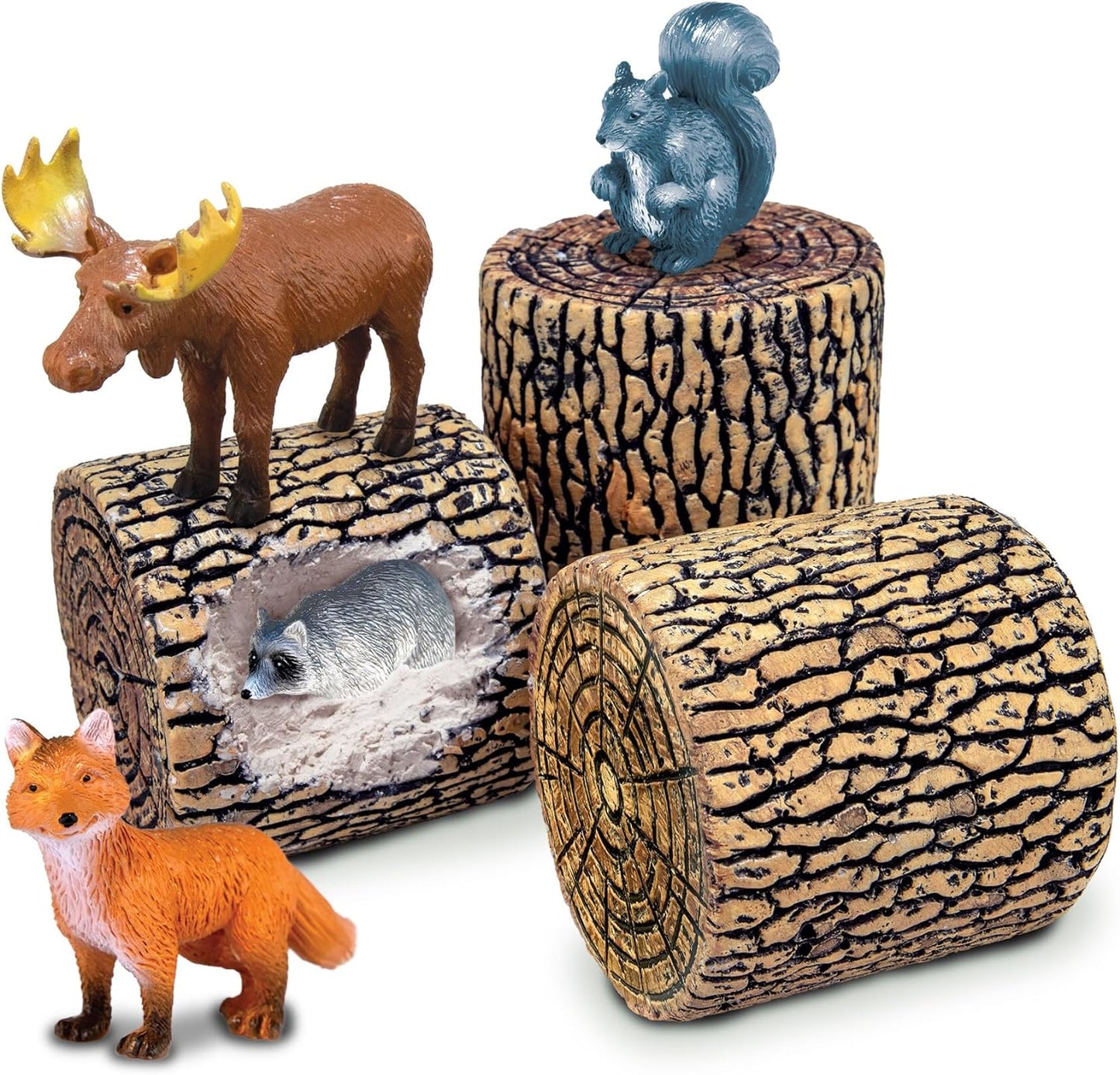 Dig It Up! Woodland Animals