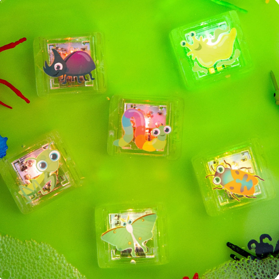 Insects Light-Up Cubes 6-Pack