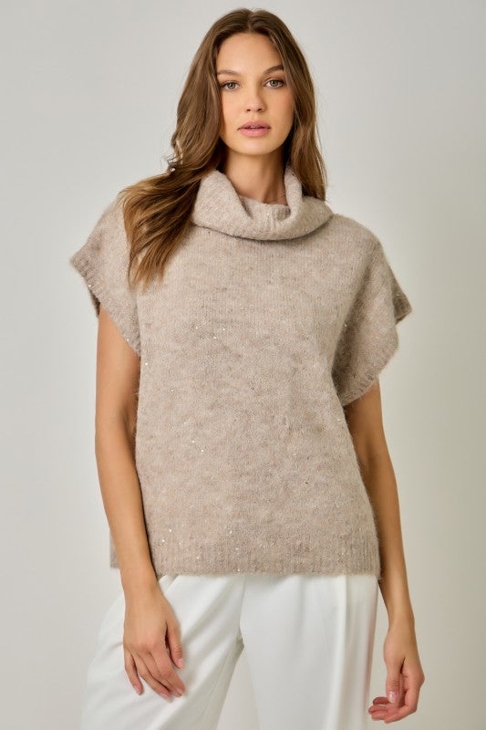 Turtleneck Sequin Sweater Top