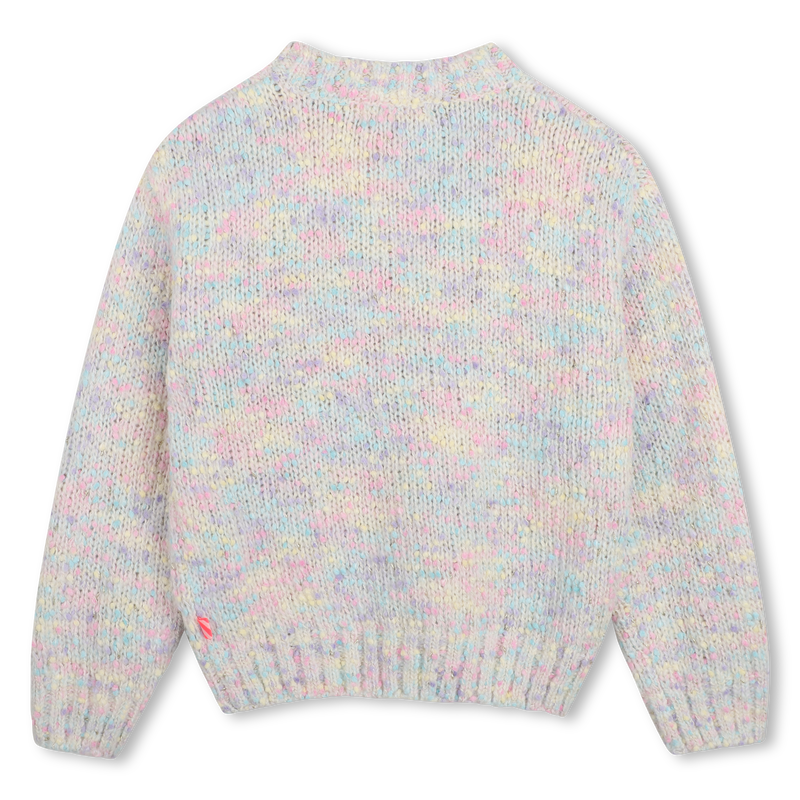 Pastel Mix Shiny Knitted Sweater
