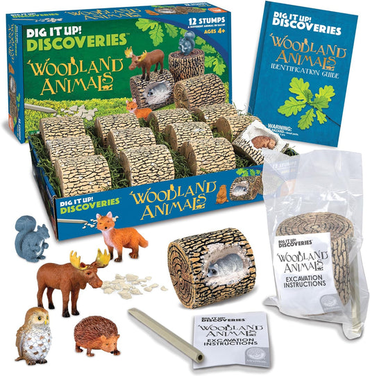 Dig It Up! Woodland Animals