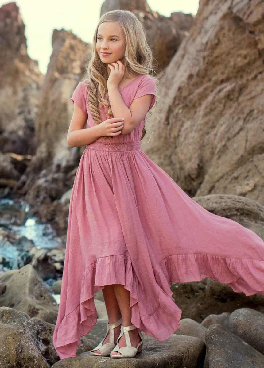 Dusty Rose Briley Dress