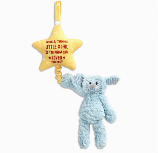 Musical Pull Toy - Puppy