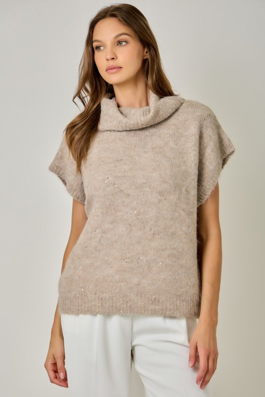 Turtleneck Sequin Sweater Top