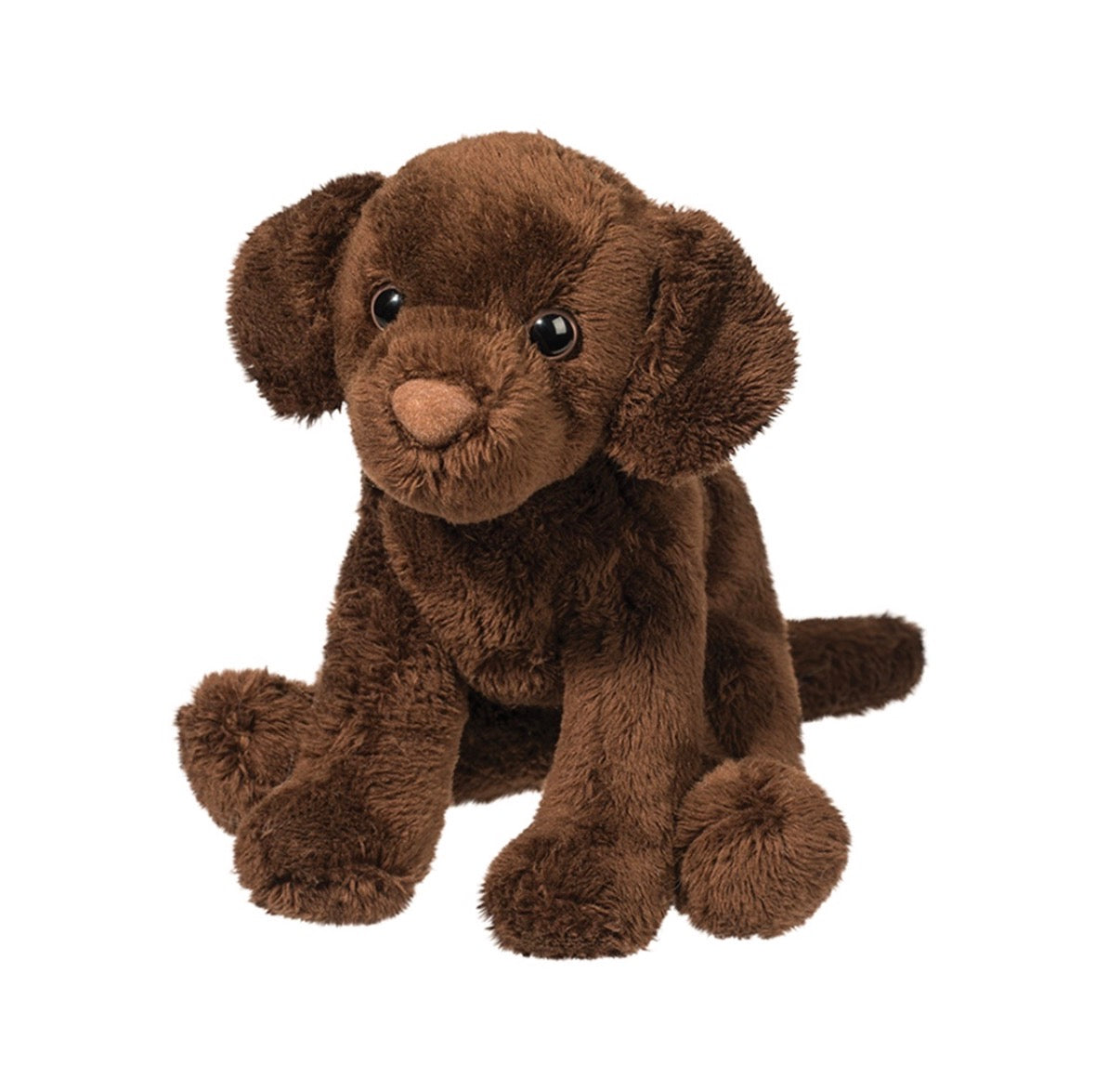 Finn Chocolate Lab
