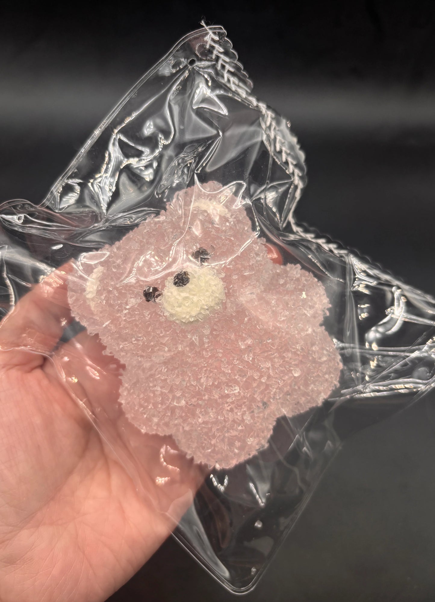 Assorted Slushie Bear Squishy