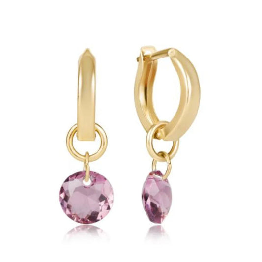 Huggie Gold 0.5" Hoop - Reflection Small Charm February