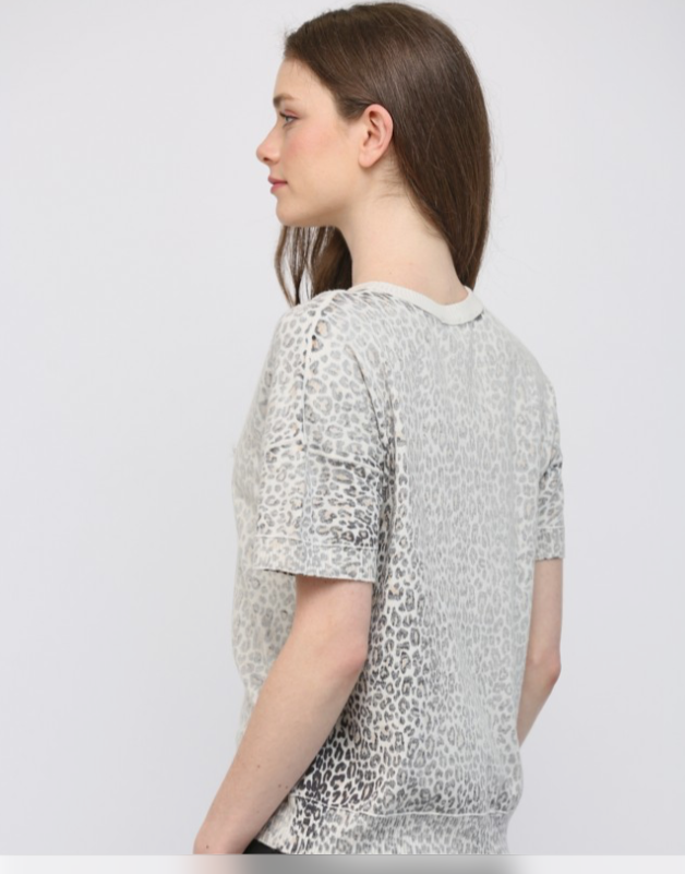 Printed Crew Neckline Short Sleeved Sweater