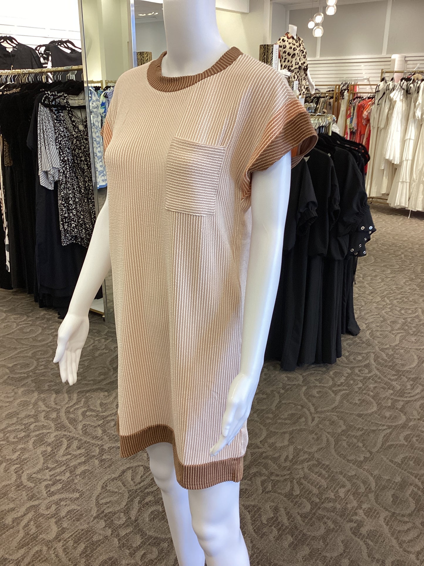 Shades of Brown Ribbed Knit Dress with Pocket