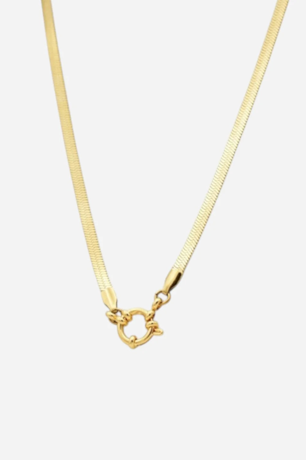 Buckle Up Clasp Necklace