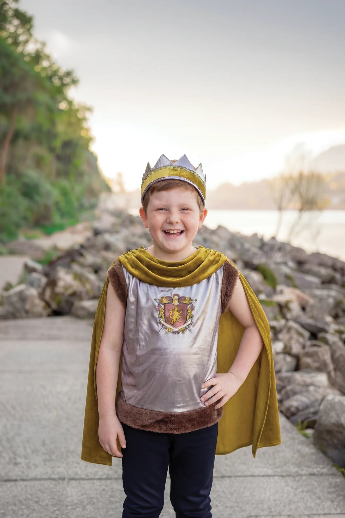 Sir Wolf Heart Knight Costume