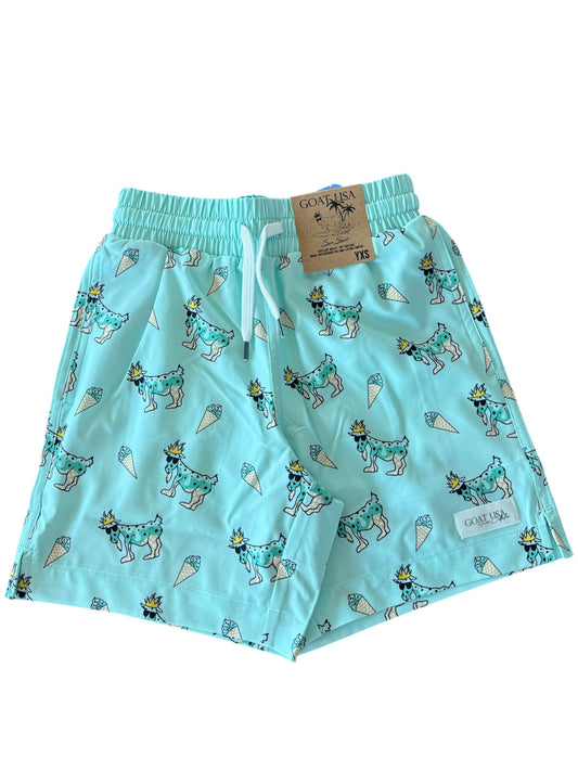 Mint Chip Ice Cream Bathing Suit