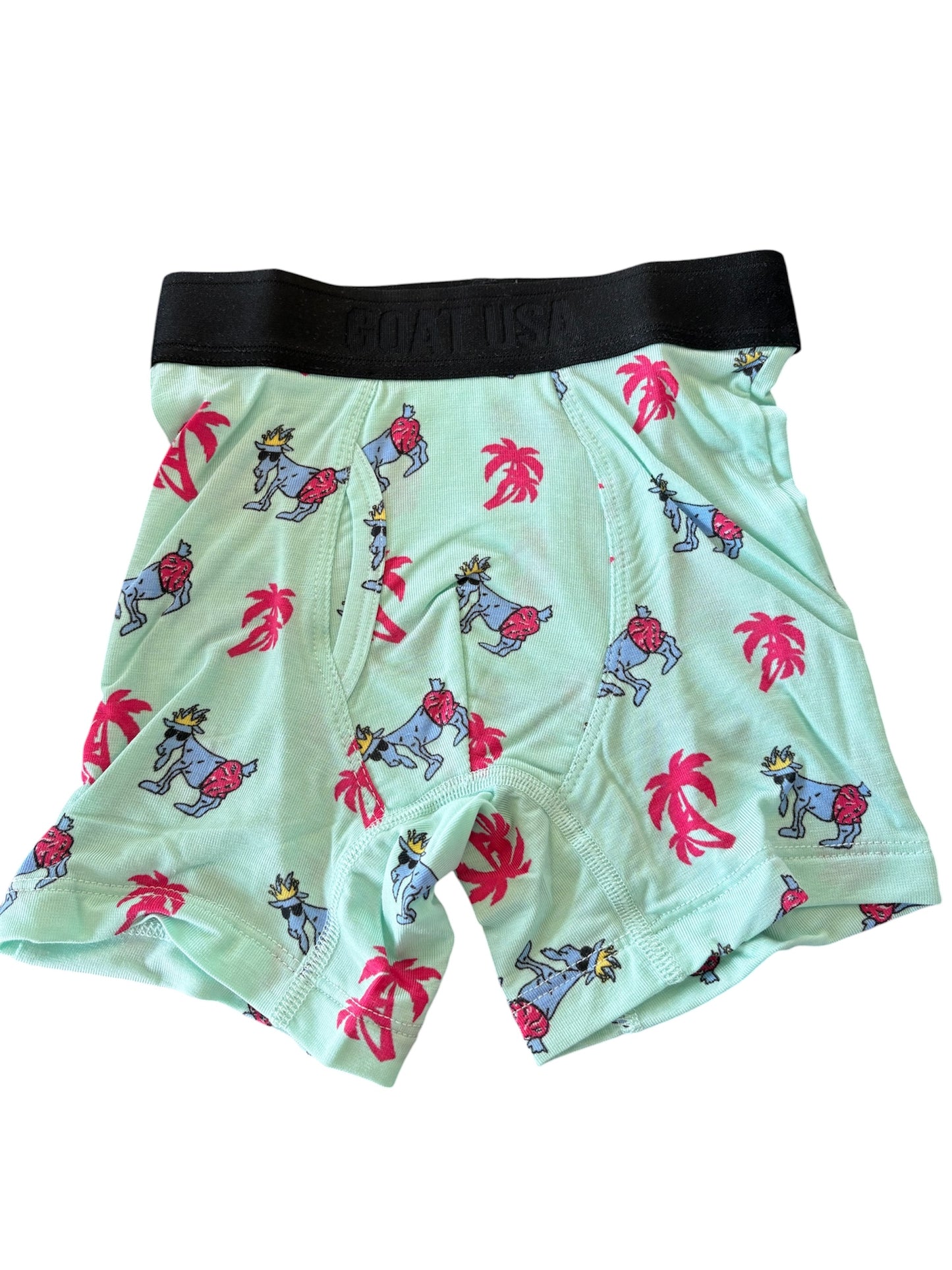 Palm Boxer Brief