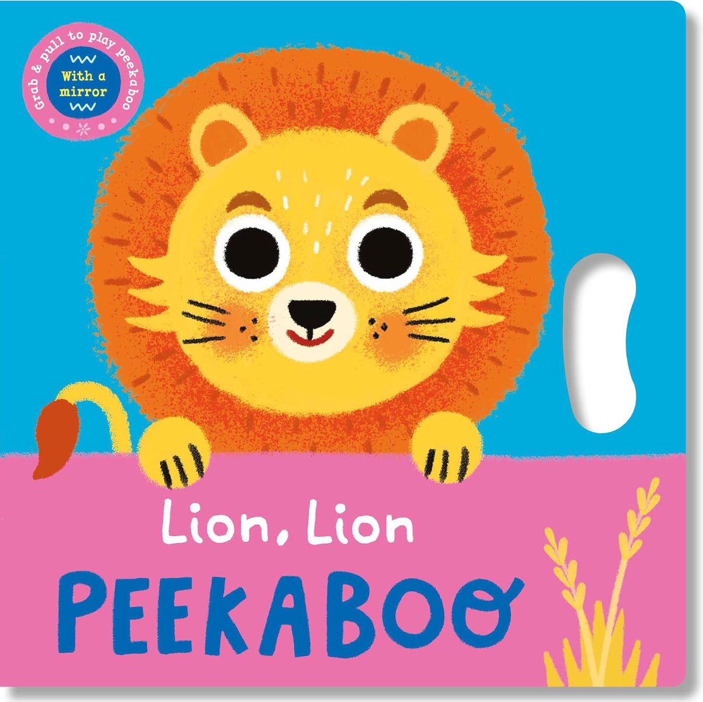 Lion, Lion Peekaboo