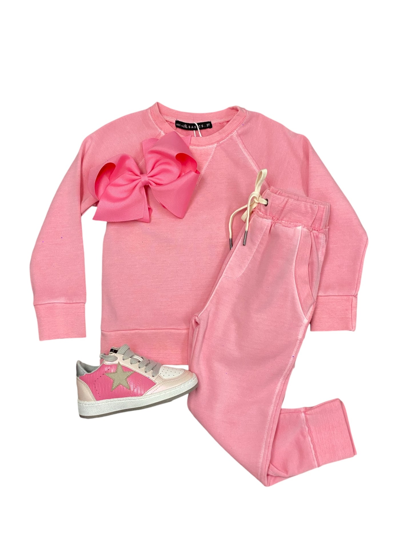 Iggy Sea Pink Pullover