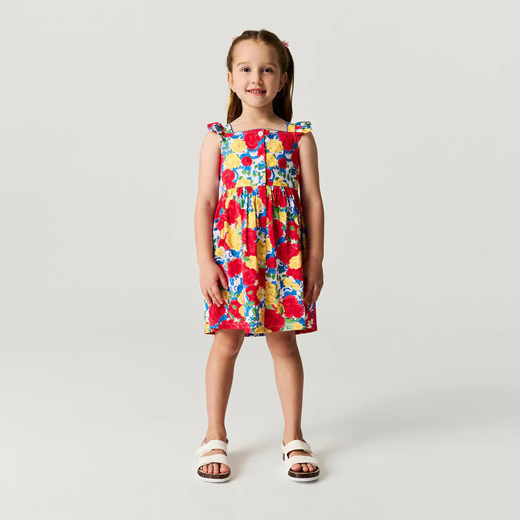 Valentina Button Down Dress