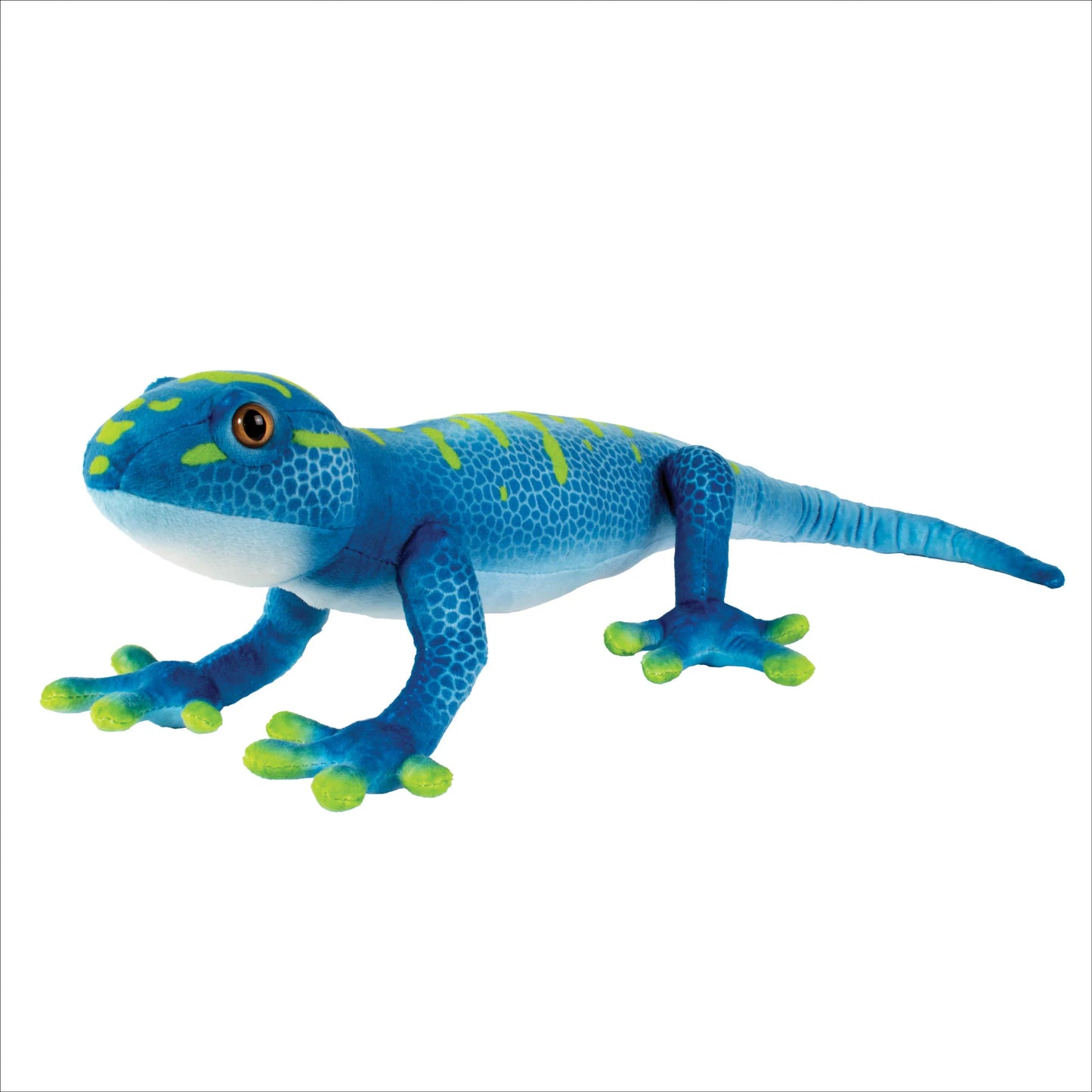 24” Blue Gecko