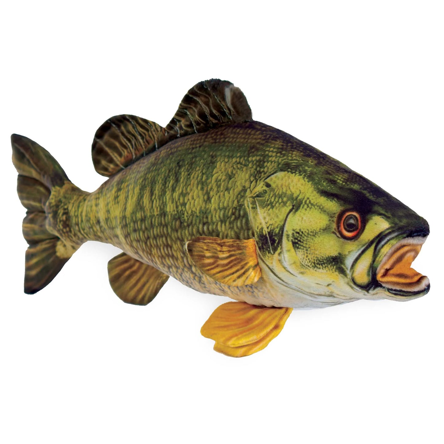 13”25” Small Mouth Bass