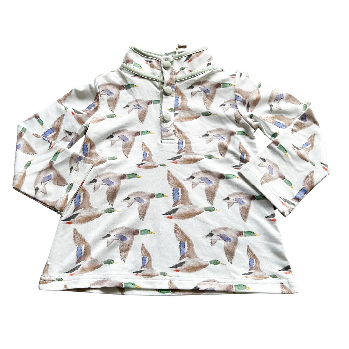 Flyin' South Pullover