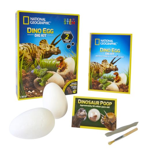 Dino Egg Dig Kit