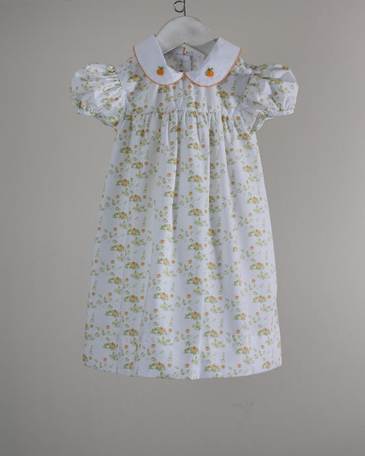 Pumpkin Harvest Maya Dress