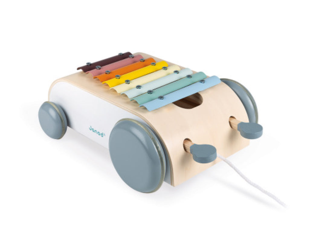 Sweet Cocoon Xylo Roller