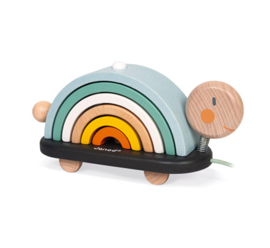 Sweet Cocoon Rainbow Turtle