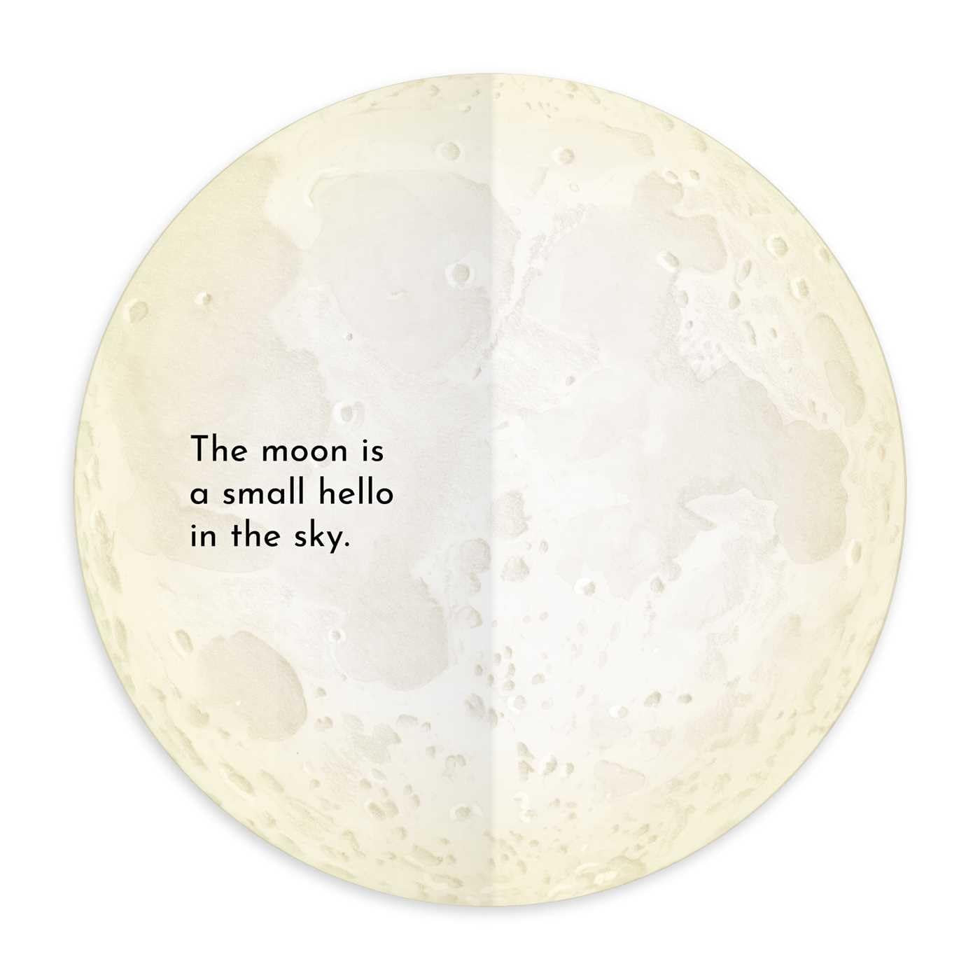 Our Friend Moon Book