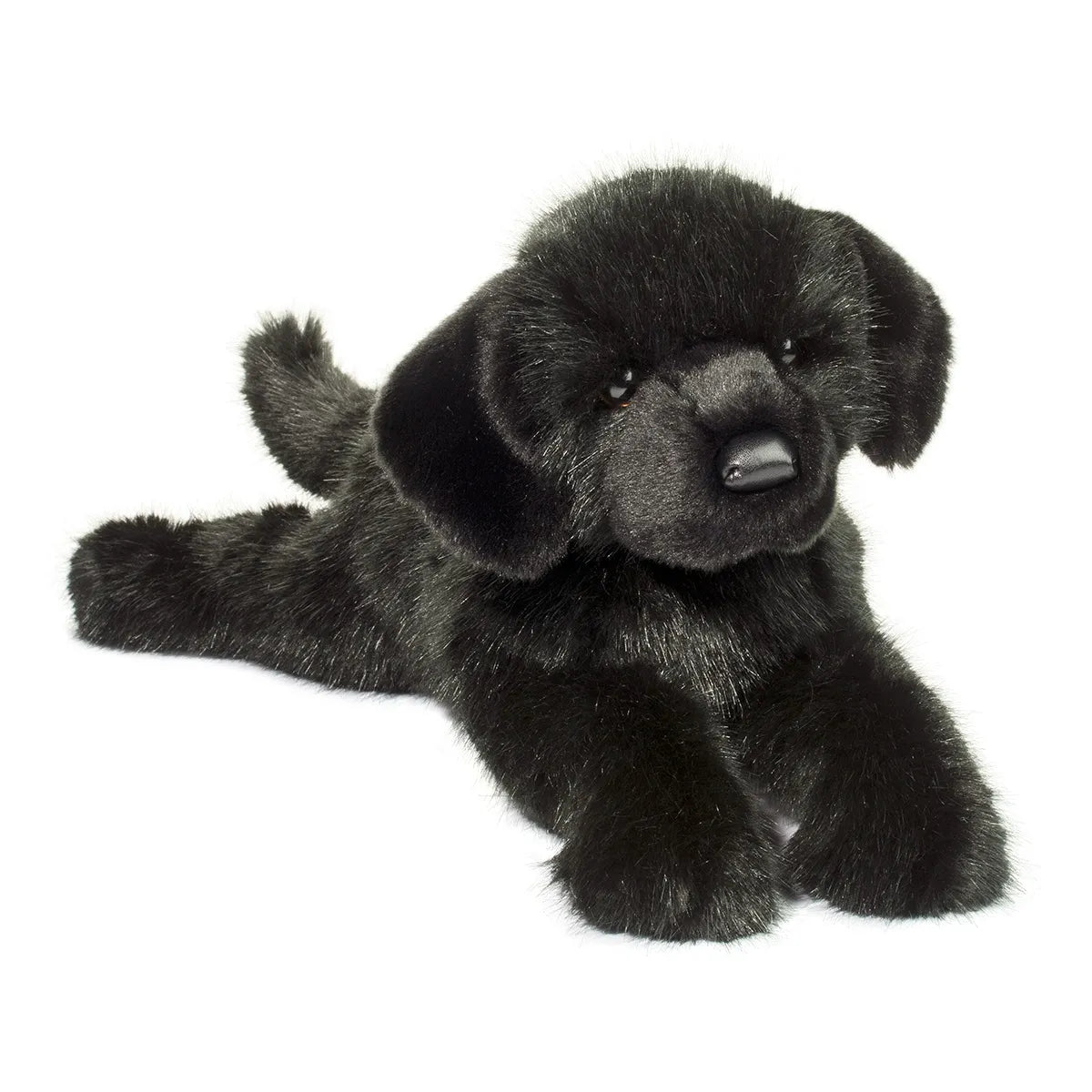 Jack DLux Black Lab