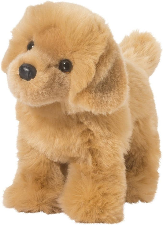 Chap Golden Retriever