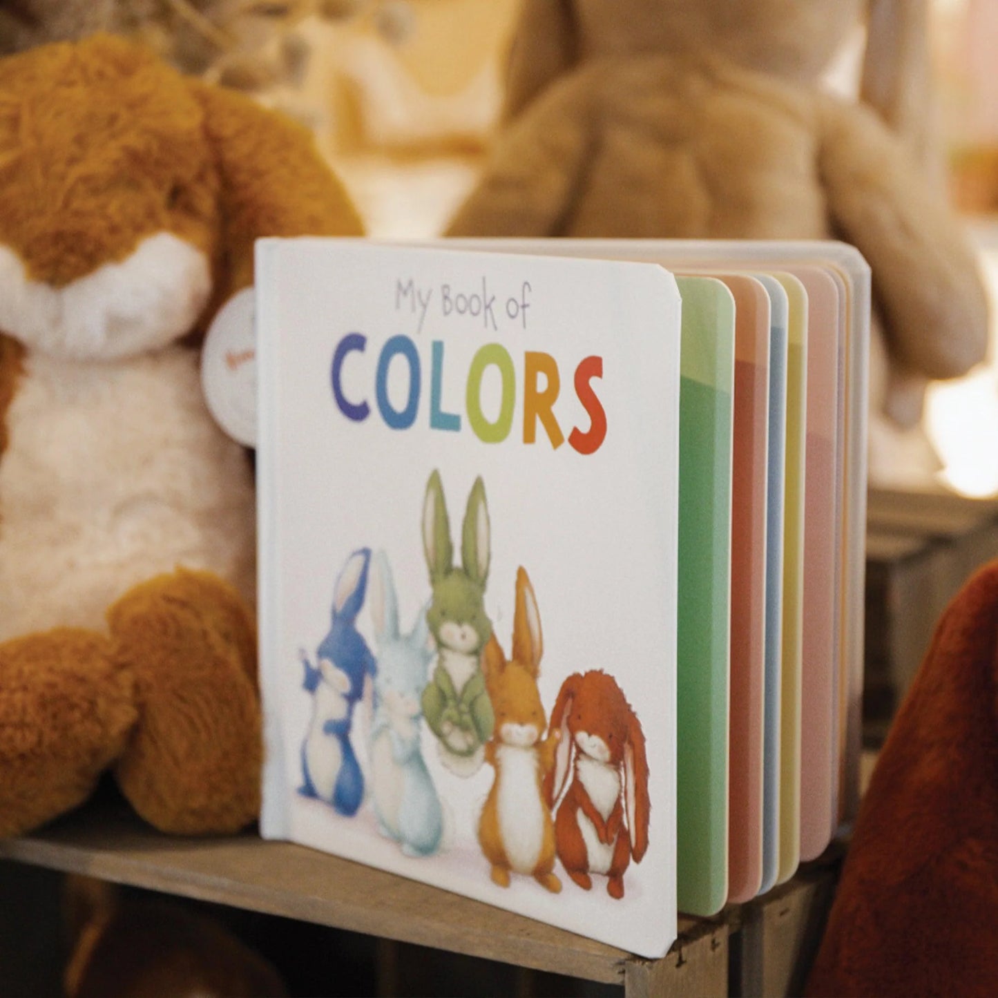 My Book of Colors