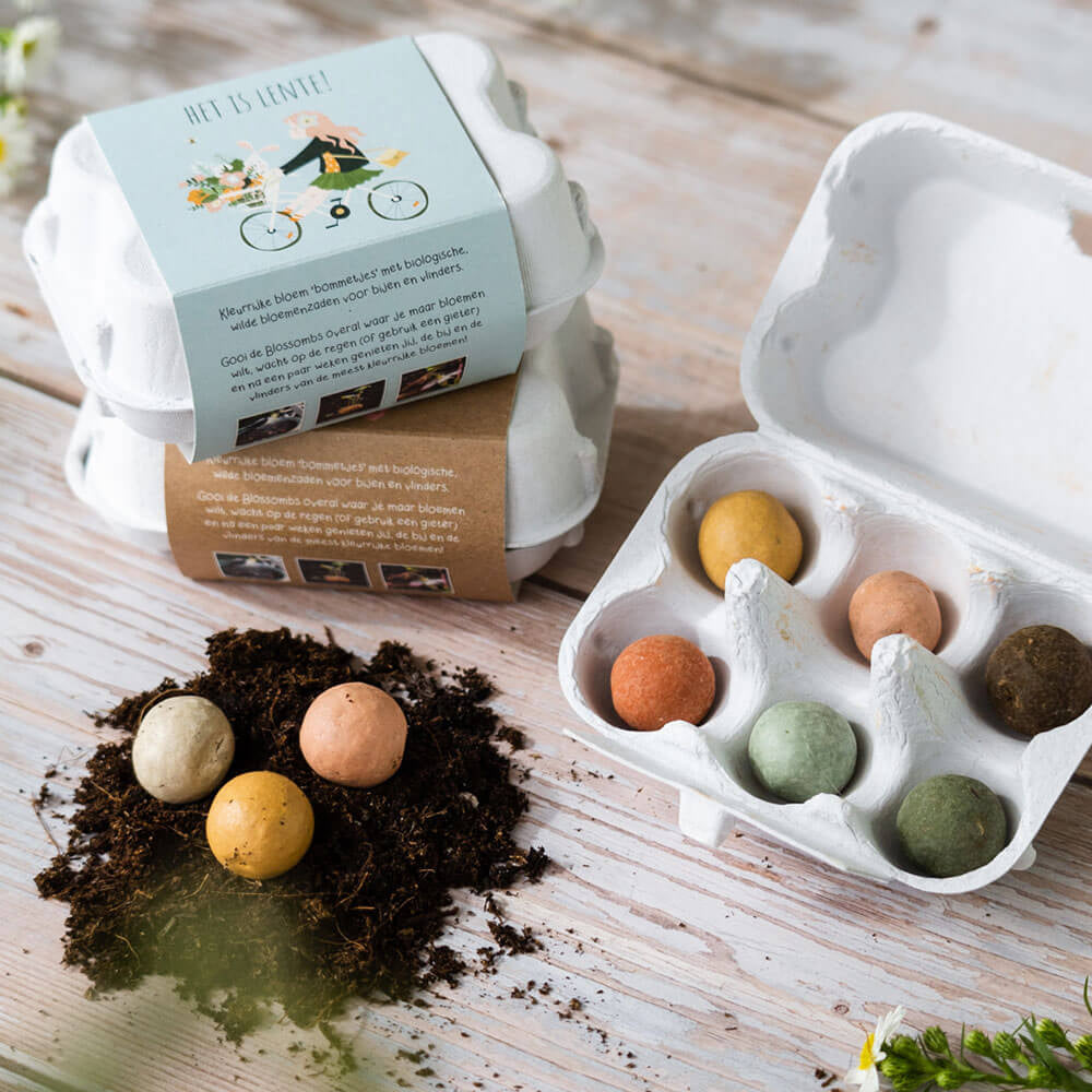 It’s Spring! Wildflower Seed Bombs