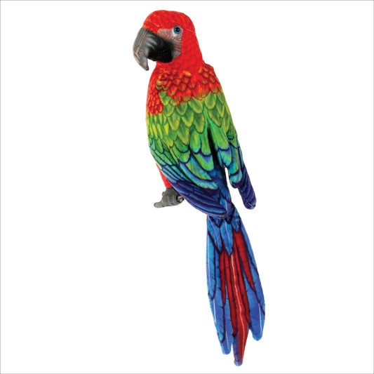 12” Red Parrot